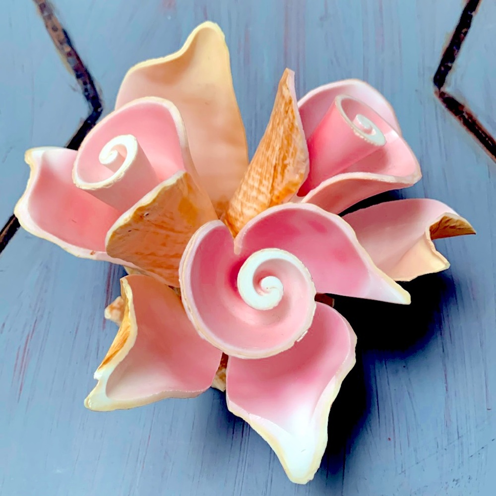 Vintage shell sculpture seashell decor accent